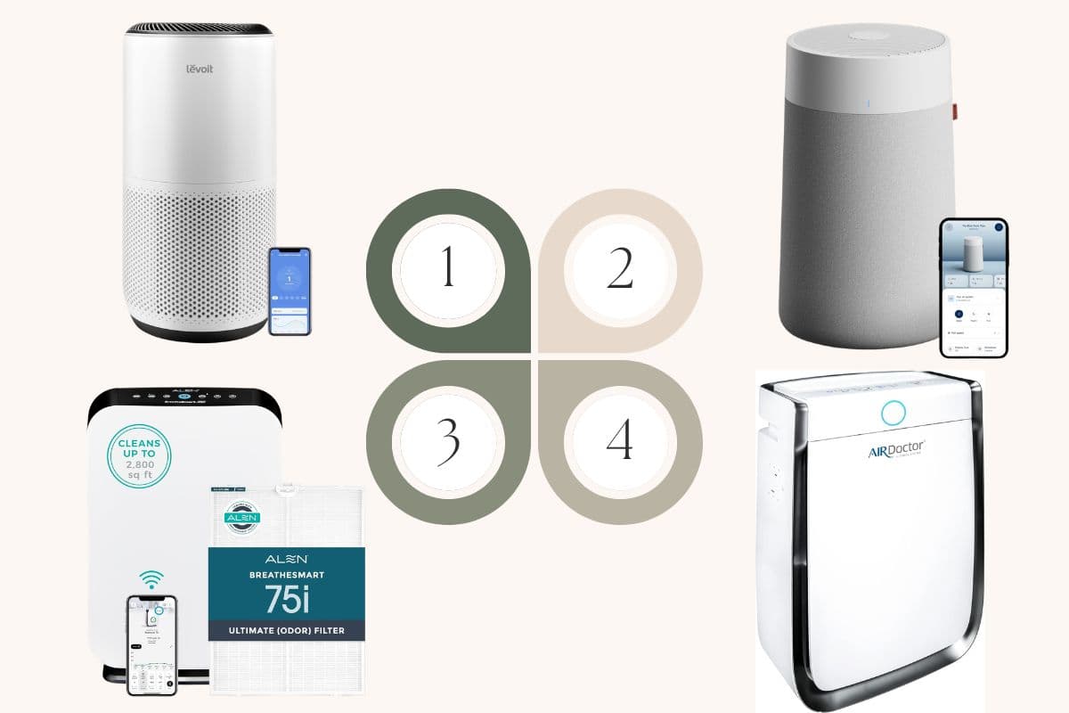 Best air purifiers for basements