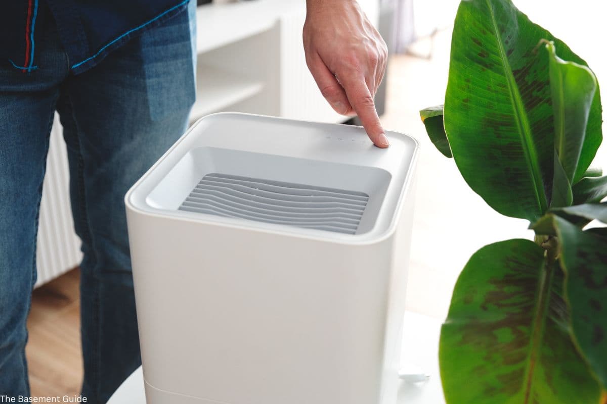Best Basement Dehumidifiers 2026: Top Picks Reviewed